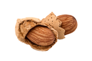 mandorla mandorla